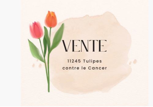 Samedi 27 avril : opération 11 245 tulipes contre le cancer à Moudeyres près de la ferme des frères Perrem